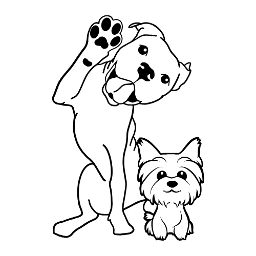 10 (6)